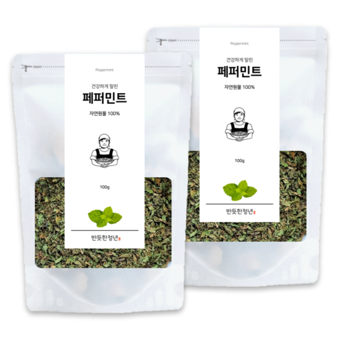 1+1 반듯한청년 페퍼민트 티 100g 2봉 리필팩 원물 차, 1개, 2개입