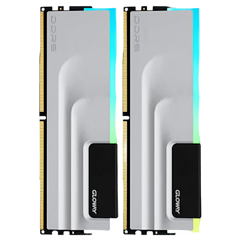 글로웨이 DDR5 데스크탑 RGB 램 그레이 C32 16GB GW7000N16G-GA 2개입, 1개