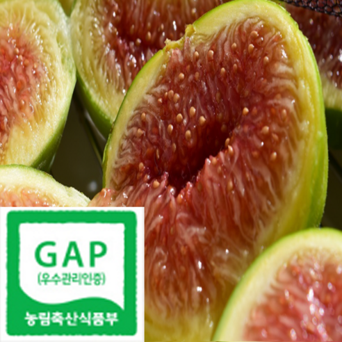 영암 청무화과 꿀당도 한정특가, 500g, 1개 - 무화과