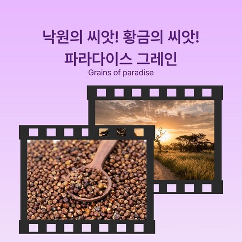 [정품] 포어바디 파라다이스 그레인 데일리 120정, 2개 이미지 4