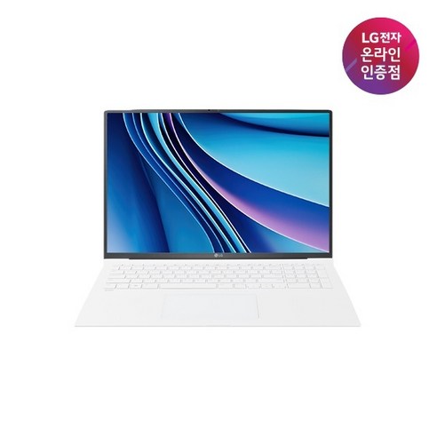 (LG전자) LG 그램 17ZD90T-GX56K (Ultra5-225H/16GB/256GB/FD) (1TB SSD 교체), Free DOS, 16GB, 1TB, 화이트