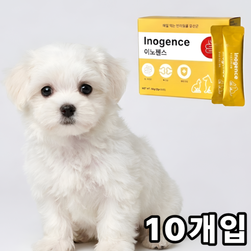 (Best상품) 이노젠스 강아지 고양이 햄스터 유산균 영양제, 10개, 프로바이오틱스, 2g