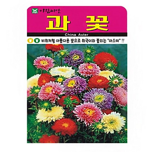 아람종묘 과꽃 씨앗 1000립, 1개