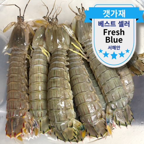 169번. 갯가재 [행사링크]