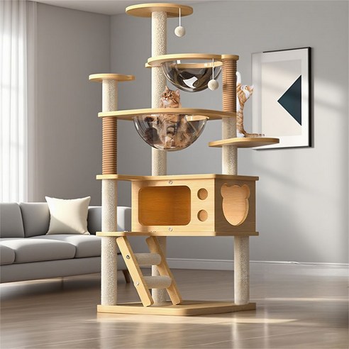 New World 캣타워 고양이 스크래쳐 안정적인 구조로 튼튼하고 견고함... 솔직 후기 | 실사용자 리뷰 분석 썸네일