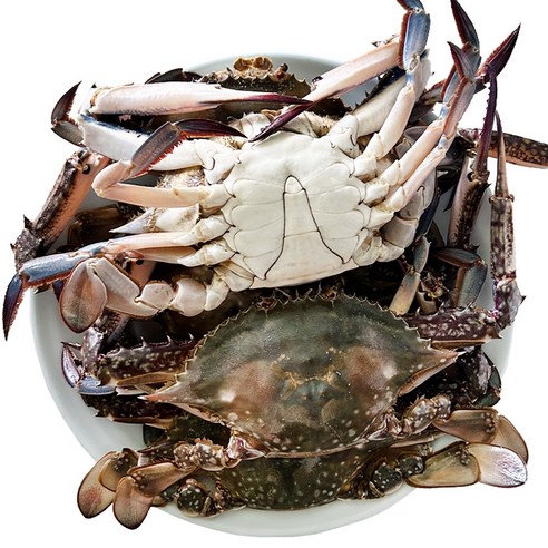 [BA] 서해안 꽃게 냉동꽃게 세척후 드시면 됩니다 선도 보장 사이즈 혼합, 냉동꽃게 5kg, 1박스