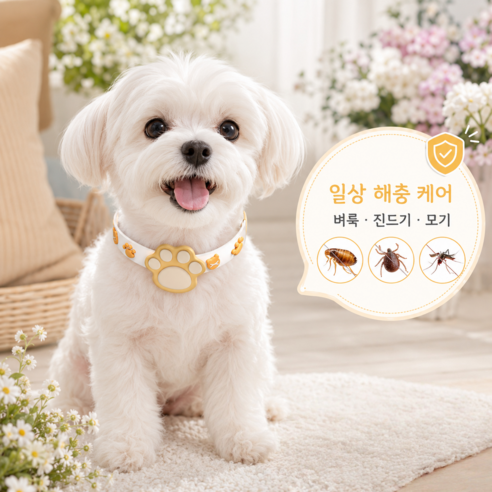 강아지 고양이 산책용 목걸이 반려동물 실리콘 허브향 향기 케어 외출용 목둘레 조절 데일리 목걸이, 1개, 오렌지 발바닥