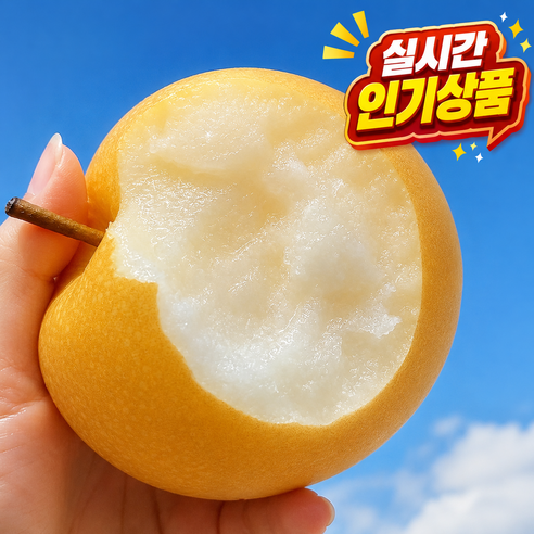 꿀brix 아삭달콤 햇배 나주배, 3kg, 1박스 - 배