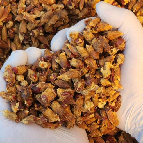 깨끗하고 간편한 경산 특초 대추씨 대추씨차 300g, 1개 맛있게 먹은 솔직 후기 썸네일