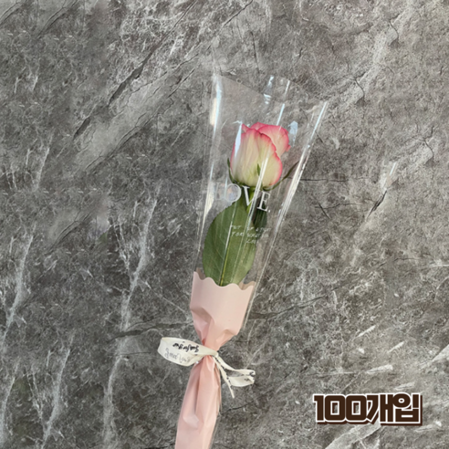 홈앤힐링 봉투형 꽃포장지 투명 꽃 포장봉투 대용량, 100개