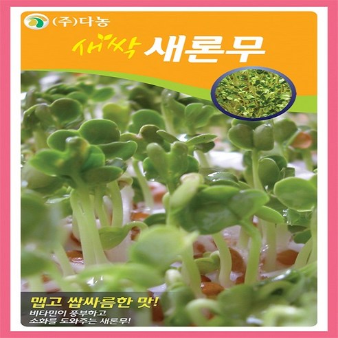 다농 새싹 새론무 씨앗 30g, 1개