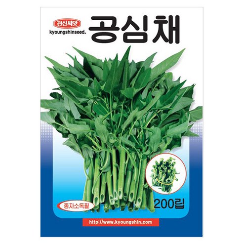 세인화분 공심채 200립 - 모닝글로리 캉쿵 씨 씨앗 채소 야채, 1개