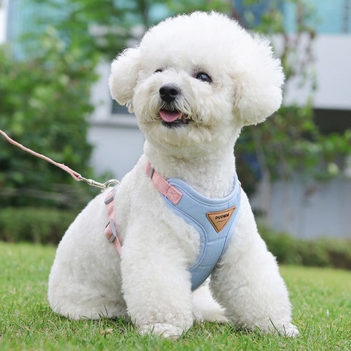 디아쿠아 강아지 고양이 바디핏 하네스 리드줄 세트, 퍼플블루, 1개