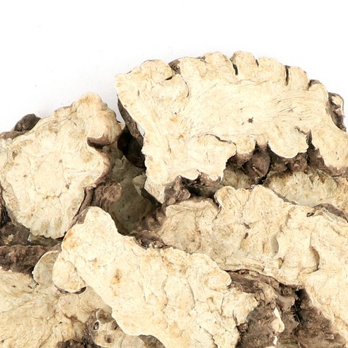 동의한재 중국산 햇 천궁 600g, 1개 이미지 3