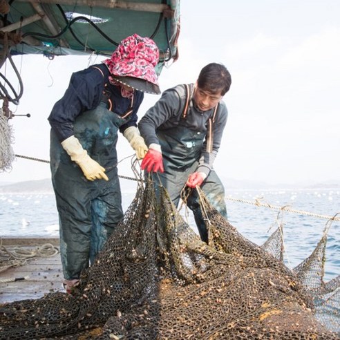 집에서 즐기는 제철 미더덕의 신선함과 풍미