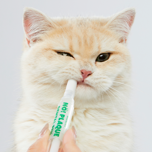 (사선형)몽세펫 프리미엄 양치펜 칫솔 치석/입냄새제거 치약/강아지 고양이... 솔직 후기 | 실제 사용자 리뷰 총정리 - 상품 이미지 2