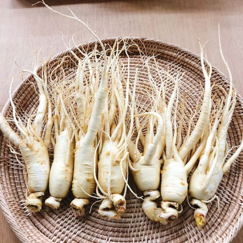 국내산 금산인삼 콩콩삼 이미지 3