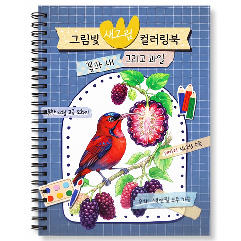 [수채화 색연필 모두 가능] 새그림 컬러링북 어르신 색칠공부 치매예방 학습지 성인 시니어 컬러링북, 그림빛, 그림빛 편집부
