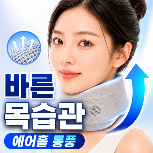 포베즈 에어홀 바른넥 6세대 쿠션형 목보호대 통풍형, 1개