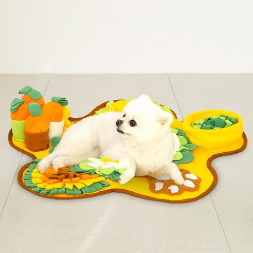 레토 강아지 노즈워크 장난감 플라워 당근밭 담요 매트 후기 분석 - 감성적인 연출 샷