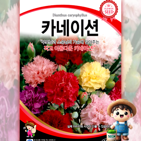 남흥원예사 카네이션 150립 원예 관상 조경 화단 용 꽃 씨 씨앗 종자 세계종묘, 1개