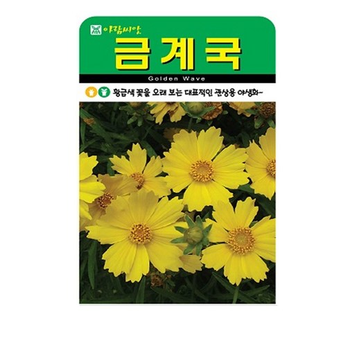 아람종묘 금계국 꽃 씨앗 500p, 2개