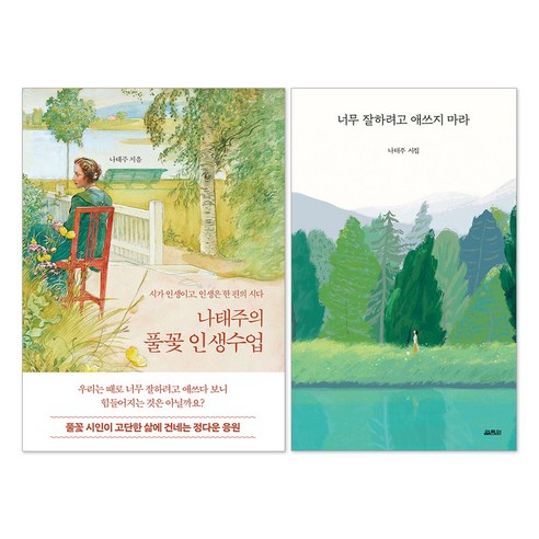(오늘 출발) 너무 잘하려고 애쓰지마 마라 + 나태주의 풀꽃 인생수업 : 나태주 책 세트(전2권)
