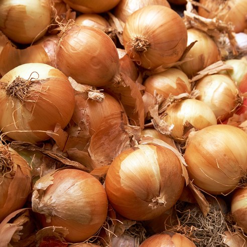 산지직송연구소 햇 양파 농가돕기 노마진 실속 대용량 5kg 10kg 중량선택, 양파5kg중개당10..., 1개 양파5kg중개당100g-150g × 1개, 양파5kg중개당100g-150g × 1개 섬네일