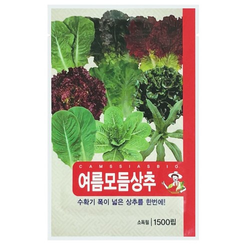여름 모듬 상추 씨앗, 1개