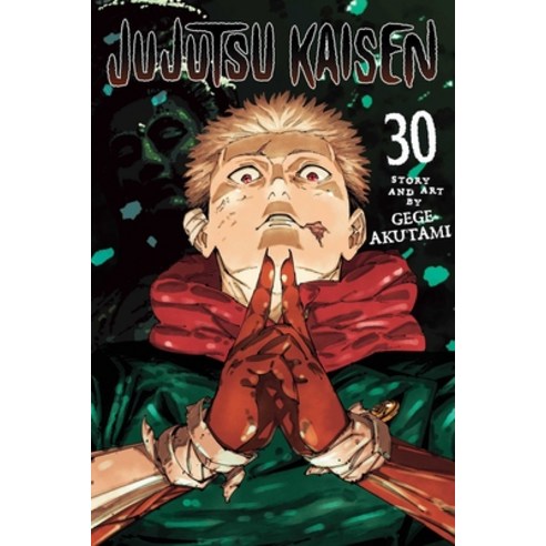 (영문도서)Jujutsu Kaisen Vol. 30 Paperback, Viz Media, English, 9781974763405