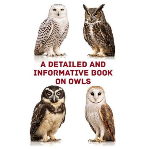(영문도서)A Detailed and Informative Book on Owls Paperback, Independently Published, English, 9798184268552