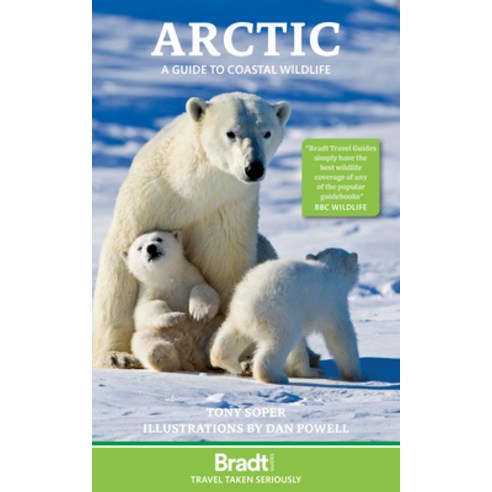 (영문도서)Arctic: A Guide to Coastal Wildlife Paperback, Bradt Travel Guides, English, 9781804693414
