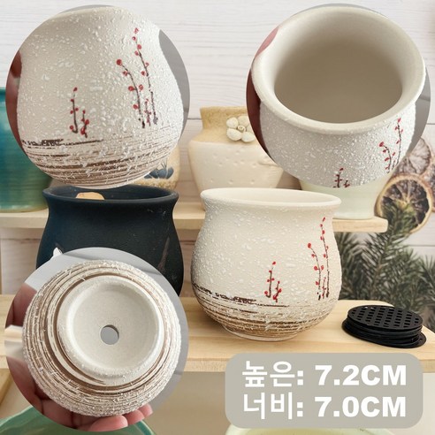 작은 행복을 심는 당신의 공간, 미니 다육이 화분 세트