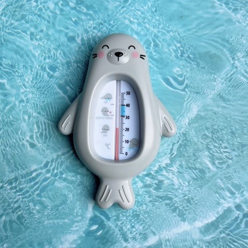 아가츄 아기 탕온계 바다사자