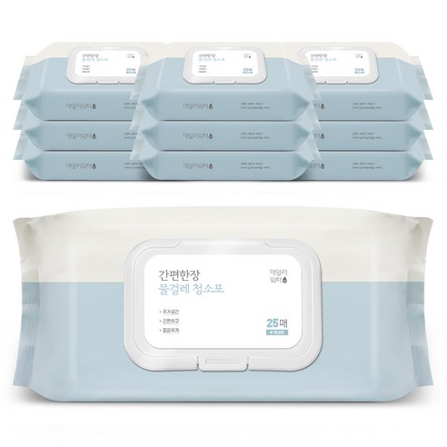 데일리워터 간편한장 물걸레 청소포 특대형 캡형 25매, 10개