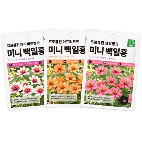 주주씨앗 F1교배종 미니 백일홍 씨앗 3종세트 키작은꽃 프로퓨전 시리즈 꽃씨앗 총 30립, 1개