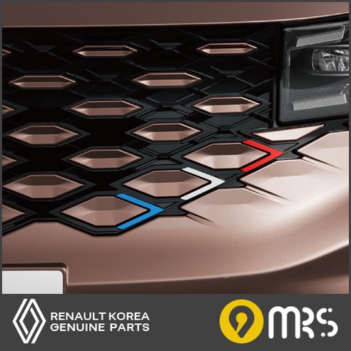 그랑콜레오스(GRAND KOLEOS) 라디에이터 그릴 데코, 그릴 트림