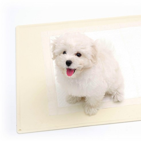 워글리 실리콘 배변매트 솔직 후기 | 실사용자 리뷰 분석 - 상품 이미지 4