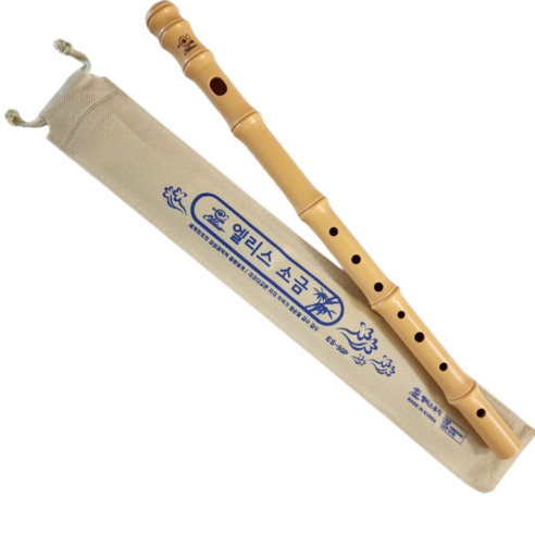 [국내생산] 학교 교재 음악 준비물 전통 악기 소금 솔직 후기 | 취미생활 필수템 썸네일