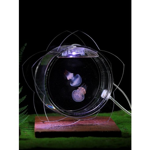 집 안에서 만나는 푸른 바다의 신비로움