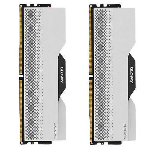 글로웨이 DDR5 데스크탑 히트싱크 램 실버 16GB GW6400N16G-SM 2개입, 1개