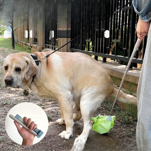 대형 휴대용 강아지 야외 산책 배변 수집 길이조절 스틱 그린 배변봉투 15봉지, 1개, 1개입