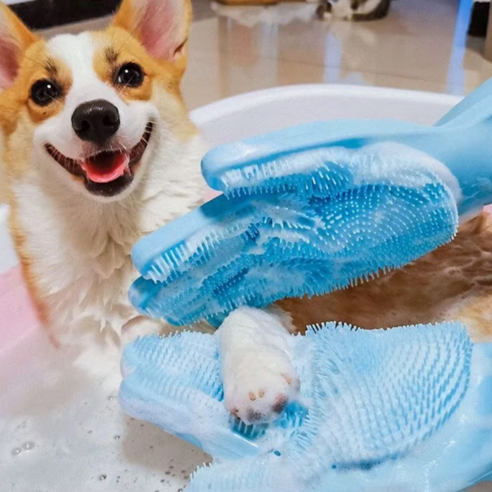 모디크 반려동물 목욕장갑 솔직 후기 | 실제 사용자 리뷰 총정리 - 상품 이미지 2