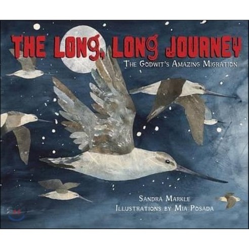 The Long Long Journey : The Godwit's Amazing Migration - 영어 | 쿠팡