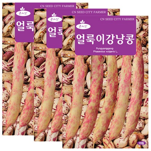 세인화분 얼룩이 강낭콩 70립 - 국산 씨 씨앗 강남콩, 3개