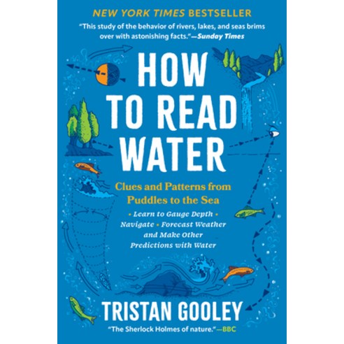 (영문도서)How to Read Water: Clues and Patterns from Puddles to the Sea Paperback, Experiment, English, 9798893031423