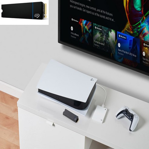 씨게이트 Game Drive M.2 SSD for PS5, 2TB, ZP2000GP3A4001