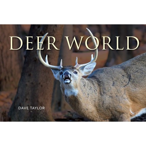 (영문도서)Deer World Paperback, Firefly Books, English, 9780228105992
