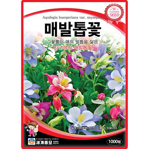 세계종묘 매발톱꽃 씨앗 1000립 매발톱꽃 꽃씨 다년생 야생화 종자, 1개