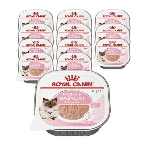 생후 1개월 2개월 이상 아기고양이 새끼고양이 이유식 습식 사료 솔직 후기 | 실제 사용자 리뷰 총정리 - 상품 이미지 1